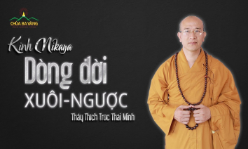 [Video] Kinh Nikaya | Dòng Đời Xuôi Ngược | Thầy Thích Trúc Thái Minh