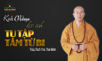 [Video] Kinh Nikaya | Lợi Ích Của Tu Tập Tâm Từ Bi | Thầy Thích Trúc Thái Minh