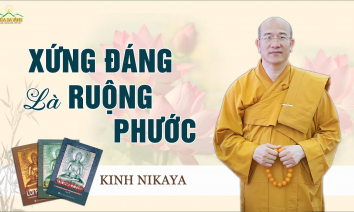 [Video] Xứng Đáng Là Ruộng Phước | Bố Thí & Cúng Dường - Kinh Nikaya Giảng Giải