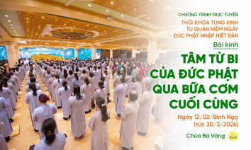 [Video] Ngày 2: Tụng kinh tu quán niệm ngày Đức Phật nhập Niết bàn | Ngày 12/02/Bính Ngọ
