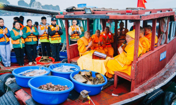 Chùa Ba Vàng phóng sinh đầu năm: Tu phúc, cầu an, nuôi lớn tâm từ bi