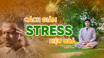 05 cách xả stress hiệu quả giúp bạn lấy lại cân bằng trong cuộc sống