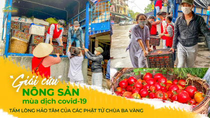 “Giải cứu” nông sản mùa dịch Covid-19 - tấm lòng hảo tâm của các Phật tử chùa Ba Vàng