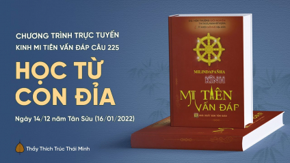 'Học từ con đỉa' - câu 225 Kinh Mi Tiên Vấn Đáp | Thầy Thích Trúc Thái Minh
