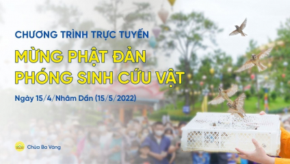 [Video] Mừng Phật đản phóng sinh cứu vật | Lễ phóng sinh rằm tháng 4
