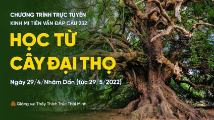 'Học từ cây đại thọ' - câu 232 Kinh Mi Tiên Vấn Đáp | Thầy Thích Trúc Thái Minh
