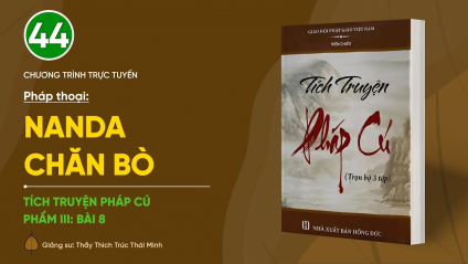 [Video] Pháp thoại: 'Nanda chăn bò' | Tích truyện Pháp Cú (Phẩm III: Bài 8)