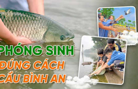 Phóng sinh đúng cách để cầu bình an và tăng phước báu
