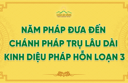Năm Pháp Đưa Đến Chánh Pháp Trụ Lâu Dài - Kinh Diệu Pháp Hỗn Loạn 3