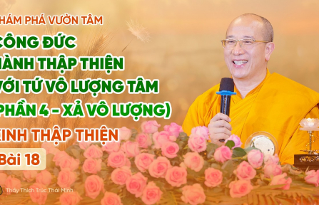 [Video] Công đức hành Thập Thiện với Tứ vô lượng tâm (Phần 4: Xả vô lượng) - Kinh Thập Thiện (Bài 18)