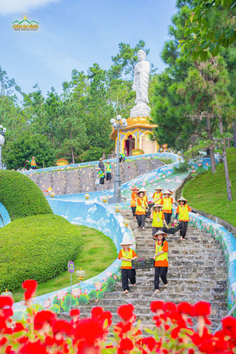 Cùng di chuyển hoa cũ đến điểm tập kết thôi nào!