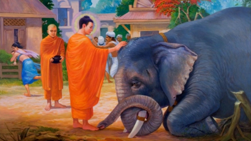 Kinh Phật Hàng Phục Năm Trăm Con Voi Say