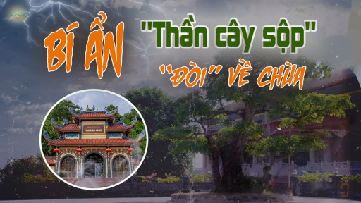 Chuyện tâm linh: Vị thần cây sộp 'đòi' về chùa Ba Vàng và bí ẩn phía sau