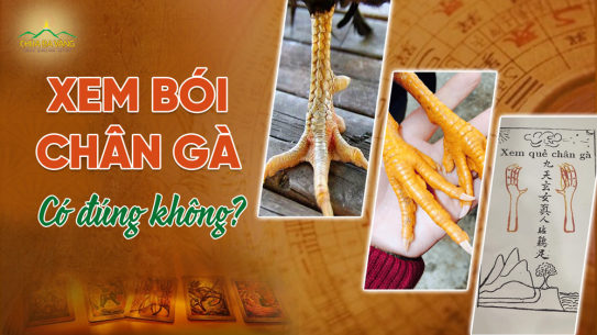 Xem chân gà đầu năm có đáng tin? Cách tự “xem bói” cho bản thân