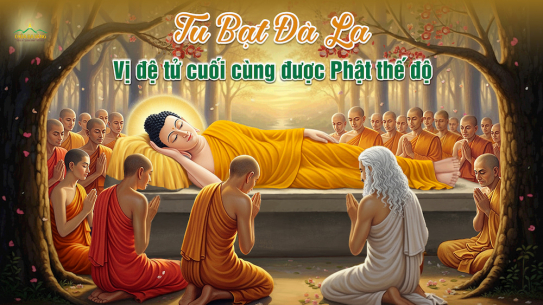 Đức Phật thế độ cho ngoại đạo Tu Bạt Đà La: Ân đức vô lượng trước giờ nhập diệt