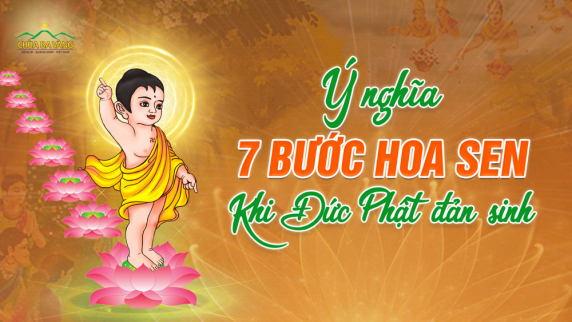 7 bước hoa sen: Ý nghĩa thiêng liêng trong ngày Đức Phật đản sinh