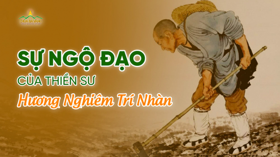 Thiền sư Hương Nghiêm Trí Nhàn: Ngộ đạo khi nghe tiếng sỏi văng vào gốc tre
