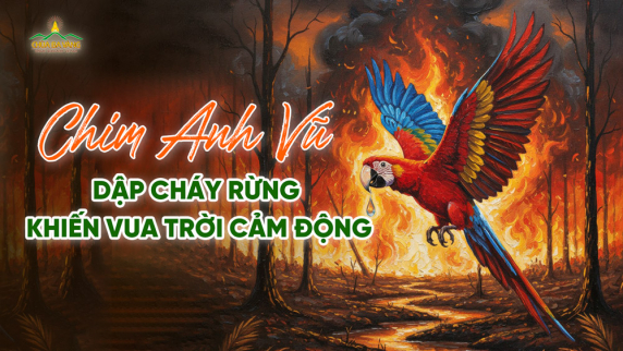 Tiền kiếp Đức Phật: Chim anh vũ quyết tâm cứu rừng cháy khiến vua Trời cảm động