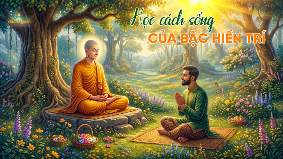 Hiền trí: 7 bài học về nghệ thuật sống để được mọi người kính trọng