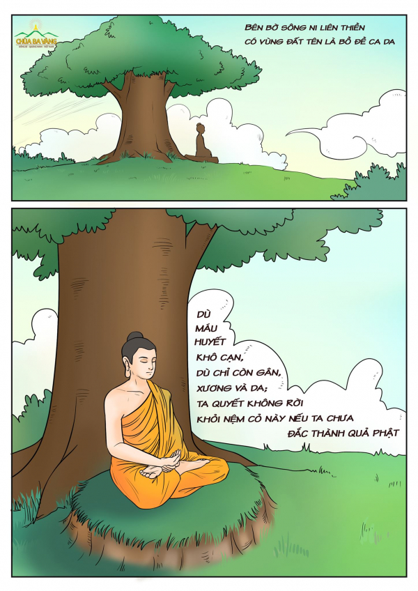 Tất Cả Về Đức Phật Buddha Thiên Thượng Thiên Hạ Duy Ngã Độc Tôn | Hồ Sơ  Nhân Vật