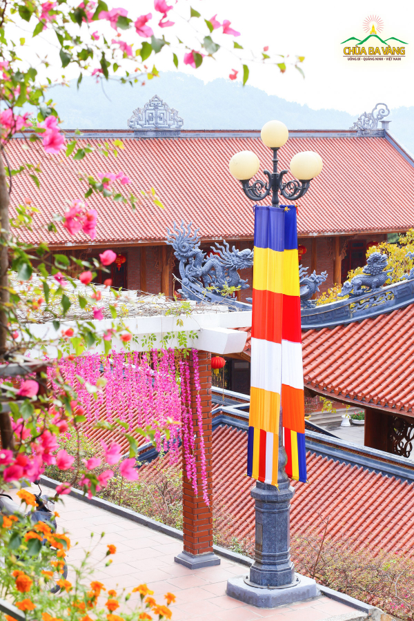 Lá cờ Phật giáo nổi bật giữa những mái chùa cổ kính