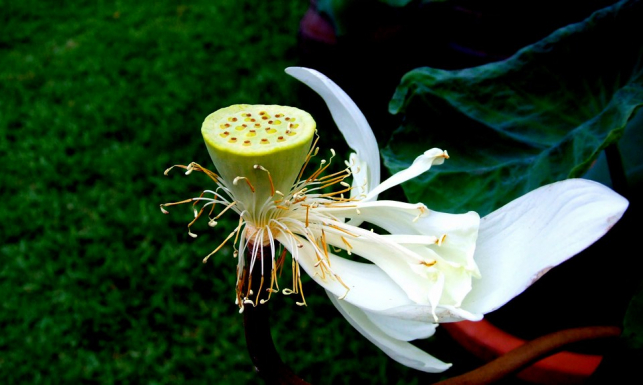 3 điều tham khảo để cuộc sống tại gia được hạnh phúc hơn