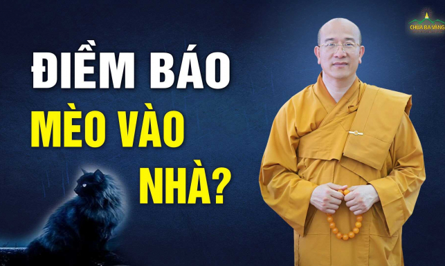 Mèo đến nhà có phải điềm báo xấu?