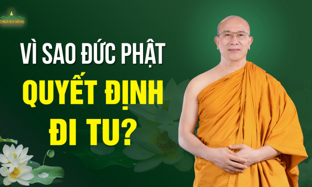 Vì sao Đức Phật quyết định xuất gia? | Đức Phật Thích Ca Mâu Ni là ai?