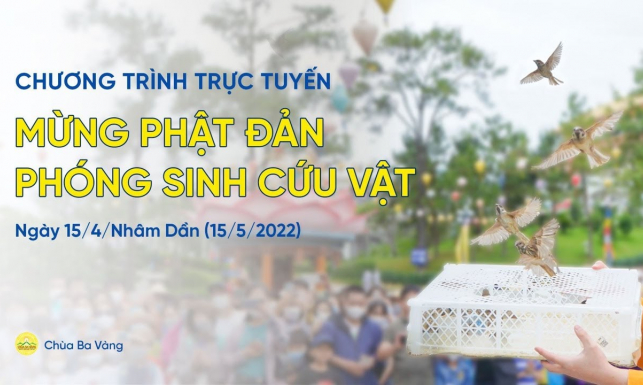 Mừng Phật đản phóng sinh cứu vật | Lễ phóng sinh rằm tháng 4