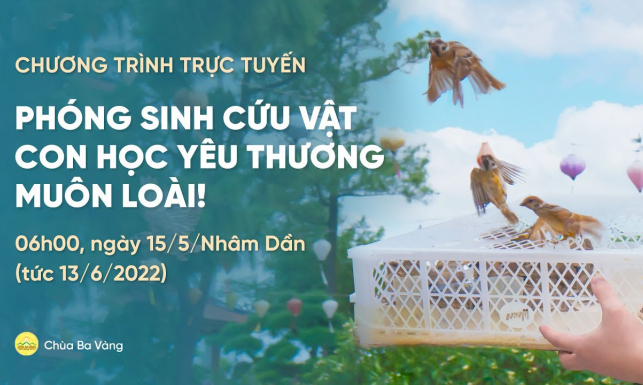Phóng sinh cứu vật - Con học yêu thương muôn loài! | Khóa tu mùa hè lần 1 - 2022