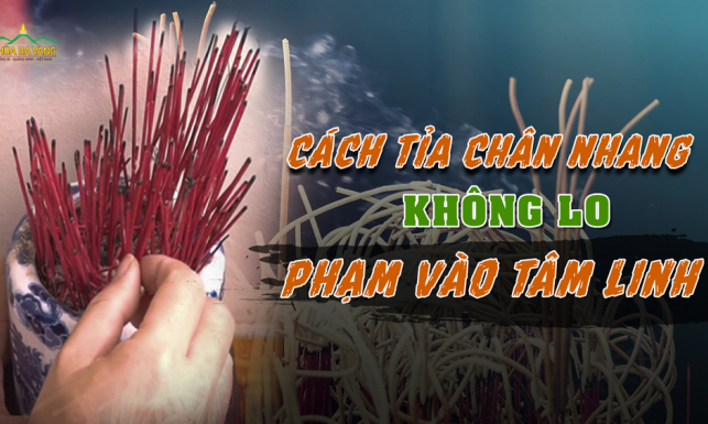 5 lưu ý quan trọng khi tỉa chân nhang để mang lại an lành, may mắn