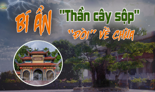 Chuyện tâm linh: Vị thần cây sộp 'đòi' về chùa Ba Vàng và bí ẩn phía sau