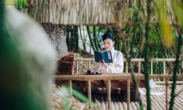 Khám phá rừng thiền Ba Vàng: Điểm đến của sự thư thái, bình yên