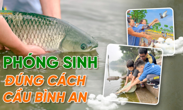 Phóng sinh đúng cách để cầu bình an và tăng phước báu