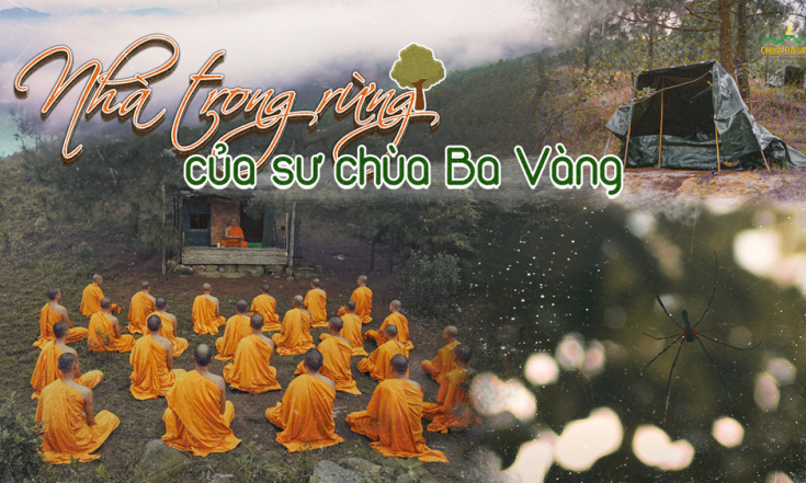Nhà trong rừng của sư chùa Ba Vàng: Hé lộ một đời sống kỳ lạ