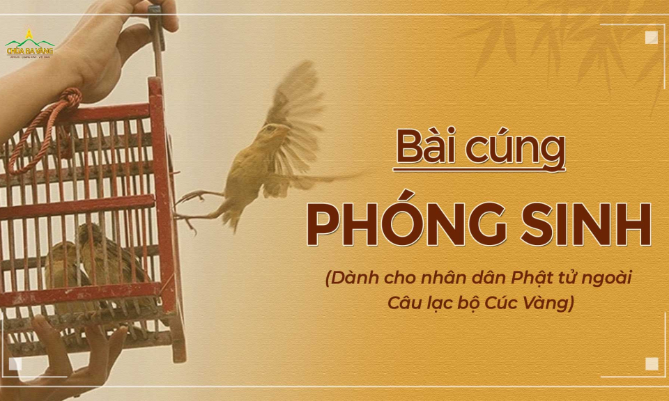 6. Lời Khuyên Cho Người Thực Hiện Lễ Phóng Sinh