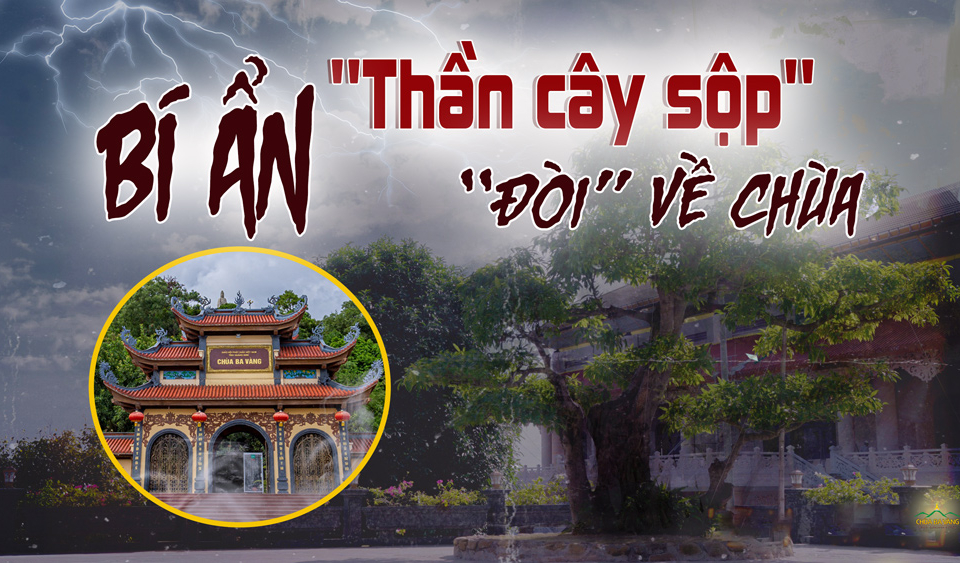 Chùa Ba Vàng - nơi linh thiêng đượm đà chính là nét đẹp đặc trưng của Việt Nam. Với kiến trúc hoành tráng, độc đáo và tinh tế, sự kết hợp giữa nghệ thuật và tâm linh chính là điểm đến du lịch lý tưởng cho những ai yêu thích văn hóa đất nước.